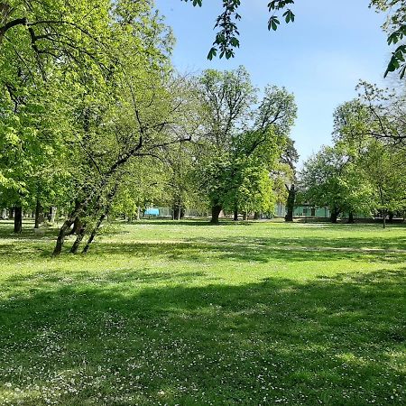 Apartman Kod Kestena Ösek Dış mekan fotoğraf